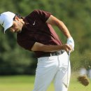 골프챔프 이미지