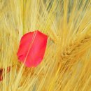 힐타운 공인중개사사무소 이미지