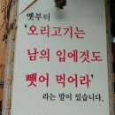 정봉목장 | 25년 3분기 일상(여름이 제일 좋아)
