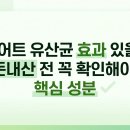 뚱보유통 | 다이어트 유산균 내돈내산 전 필수! 식약처 인증 성분 고르는 기준 3가지