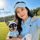 스타CC(회원제) | 충주 시그너스CC 라운드 후기 ⛳ 코스 길고 언듈레이션 강했던 골프장