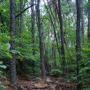 중간자(안양) 이미지