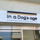 독스에이지(in a Dog's age) 이미지