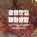 광명맛집 매화쌈밥 10년단골 후기 가격 메뉴 맛 위치