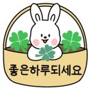 TLC 동물의료센터 이미지