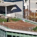 도서관옥상3 이미지