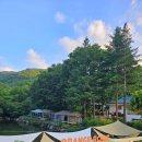 펜션 다알리아 이미지