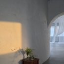 에보니 | 천안 백일스냅 에보니스튜디오 가족사진 후기