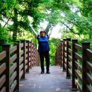 서림공원 1 이미지