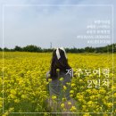 산지물 야외화장실 | [제주도 3박4일 여행] 제주도 여행 2일차 | 경미네집, 제주 스타벅스, 성산 유채꽃밭, 호랑호랑 성산...