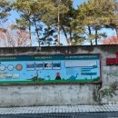 함안대치리 공룡발자국화석 이미지