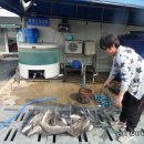 k3바다낚시터 이미지