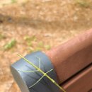 솔빛길유치원 이미지