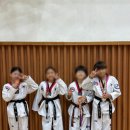 용인대 최강 태권도장 네이버블로그