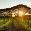 우리동네 행정사 사무소 이미지