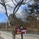 푸른하늘 | 대구근교 칠곡 경북 시원한 바람과 푸른하늘 왜관 힐포레 글램핑장 바베큐 후기