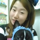 이레네 강아지 이미지