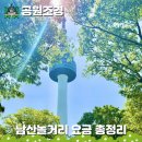 서울특별시청 구내식당 | 서울 반나절 놀거리 데이트 남산 공원 남산도서관 서울N타워 비용 총정리
