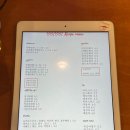 삐삐라떼 이미지