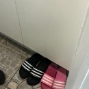 강원도 동해 묵호 오션뷰숙소 동해를그리다 펜션 숙박 후기