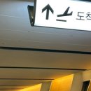 도제랑인제주 이미지