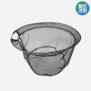 월드크린 이미지