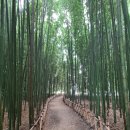 무궁화근린공원2 이미지