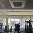 핏티스트 네이버블로그