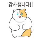 판교인생 이미지