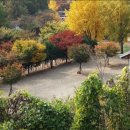 파주캠핑장 이미지