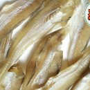 진짜노가리 이미지