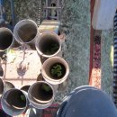 제경농장 이미지