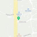 봄봄516점