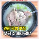 콩시시락국밥소고기국밥 | 부평구청 국밥 추천 [부평소머리국밥] 혼밥하기 좋은 맛집 솔직후기