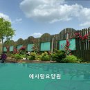 예사랑산부인과