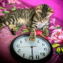 존재의 사랑 이미지