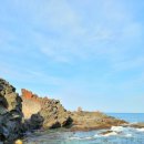 노랑제주 이미지