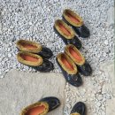 다락방 친구들 이미지