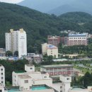 금정고가 밑 이미지