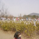 부산시민공원전동차 이미지