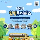 부산진구-25 | 부산진 힐링 투어버스 예약 신청 방법 및 참가 요금은?