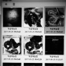 아람동물병원 이미지