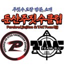 대전 주짓수 체육관 추천! 둔산주짓수클럽🥋 (Purebred Jiu Jitsu &amp; TAC Team BJJ)