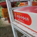 와룡농원 이미지