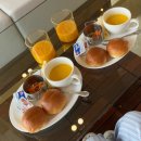 Oasi | [거제도 풀빌라 감성숙소] STAY OASI 스테이 오아시