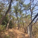 모라백양공원 이미지