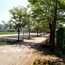 낭만지구