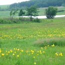 언덕위의 집 이미지