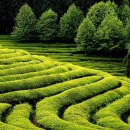 뜰안에 민박 이미지