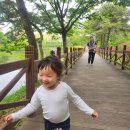 유하 카카오 검색결과